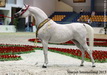 Sharjah International 2013